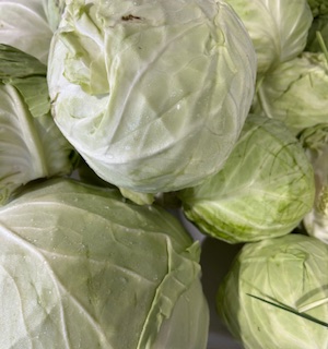 Cabbage