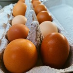 Local Chicken Eggs from Dinwiddie County